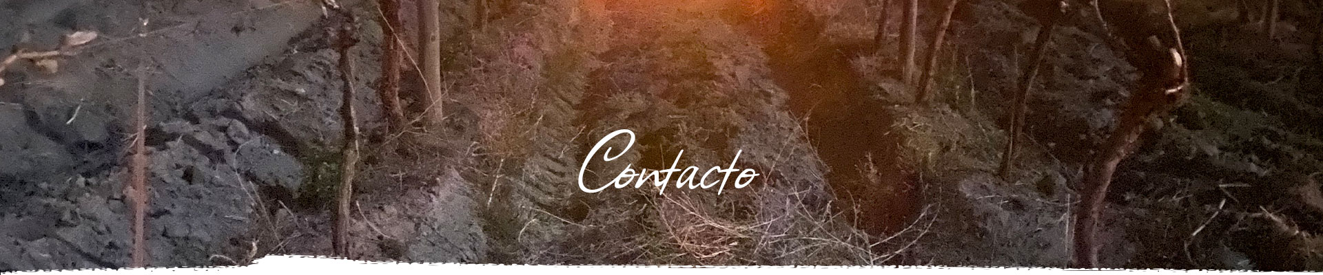 Contacto