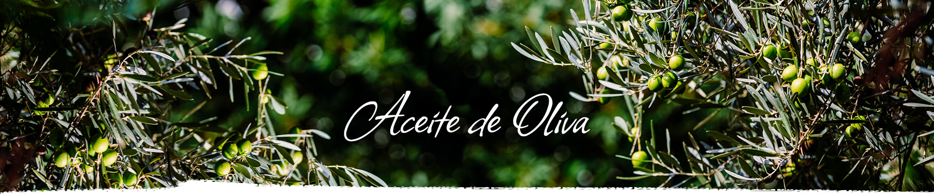 Vinos