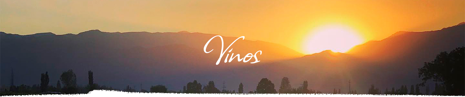 Vinos